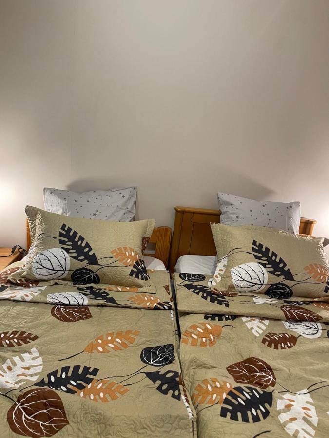 Appartement 3 Pieces Pour 1 A 5 Voyageurs Rillieux-la-Pape ภายนอก รูปภาพ
